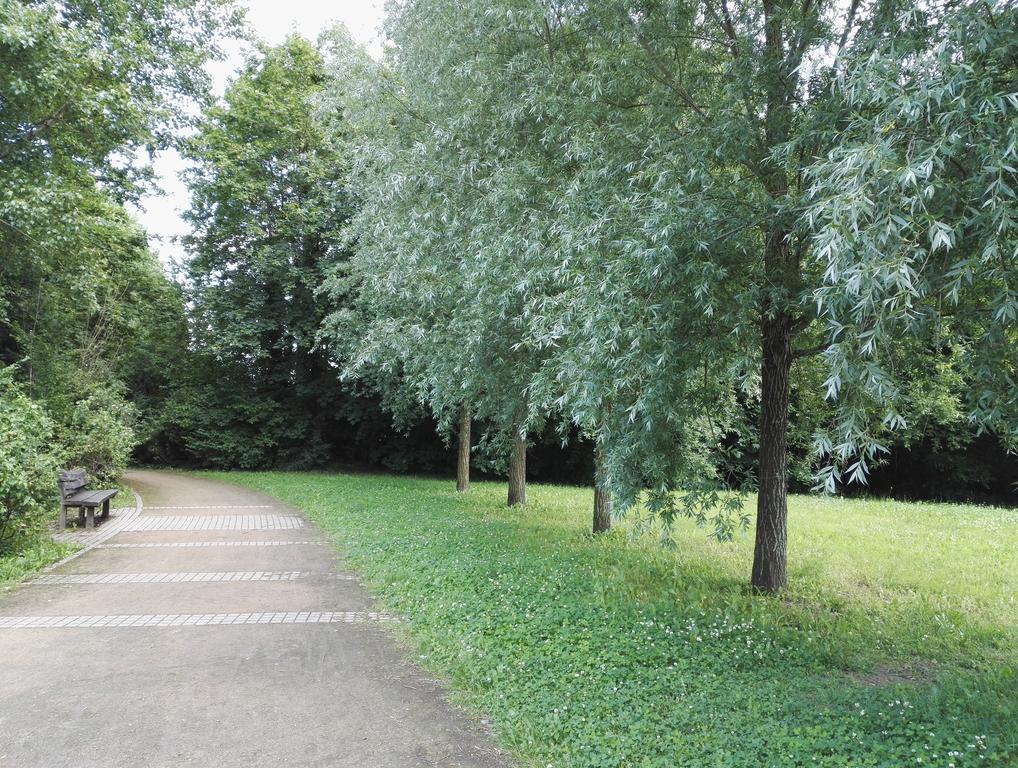Amsterdam-Einraumwohnung Leipzig Bagian luar foto